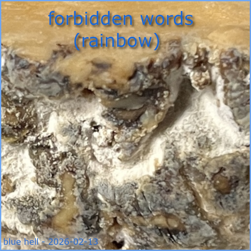 forbidden words (rainbow)